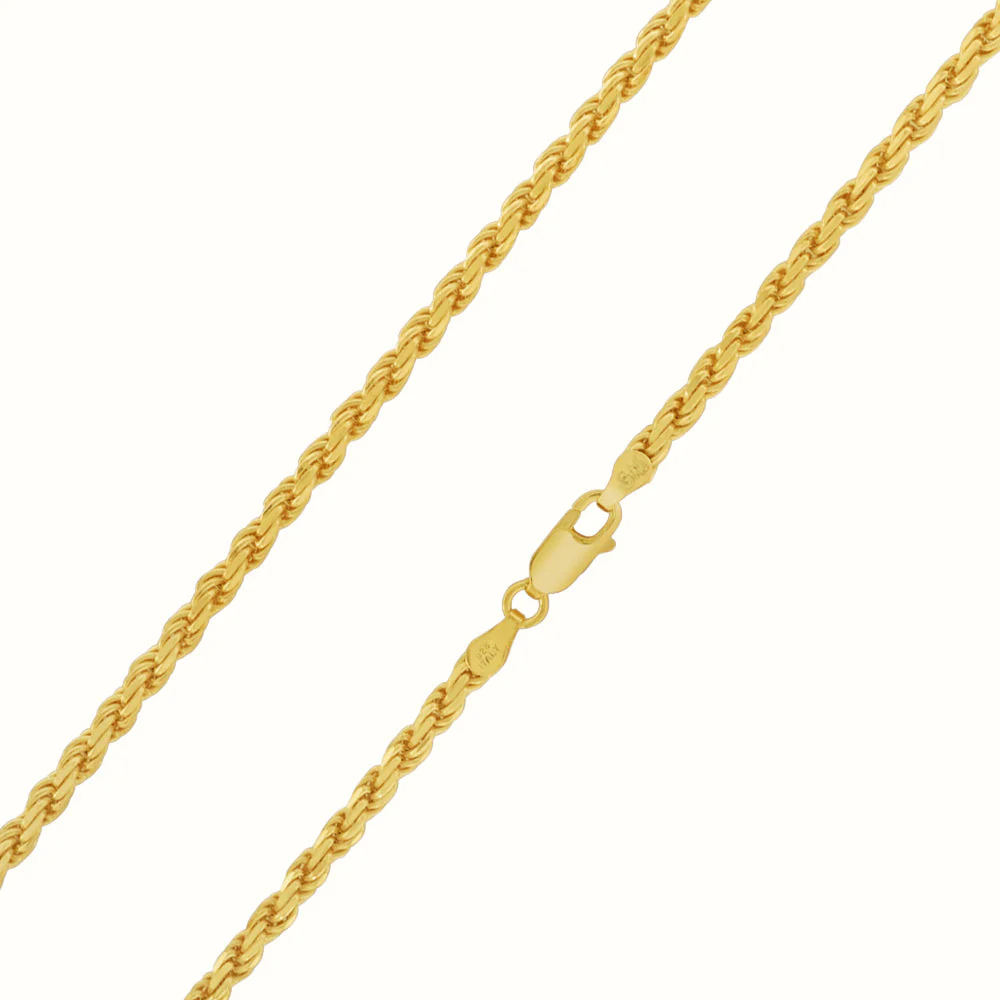 Women's Vermeil Rope Chain 3mm - Image 7
